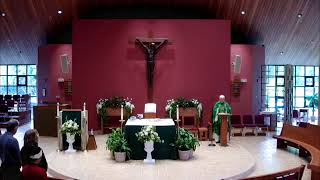 Tuesday of the 10th Week in Ordinary Time - 6/9/26