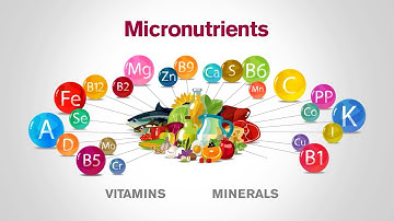 The Importance of Macro and Micro Nutrients