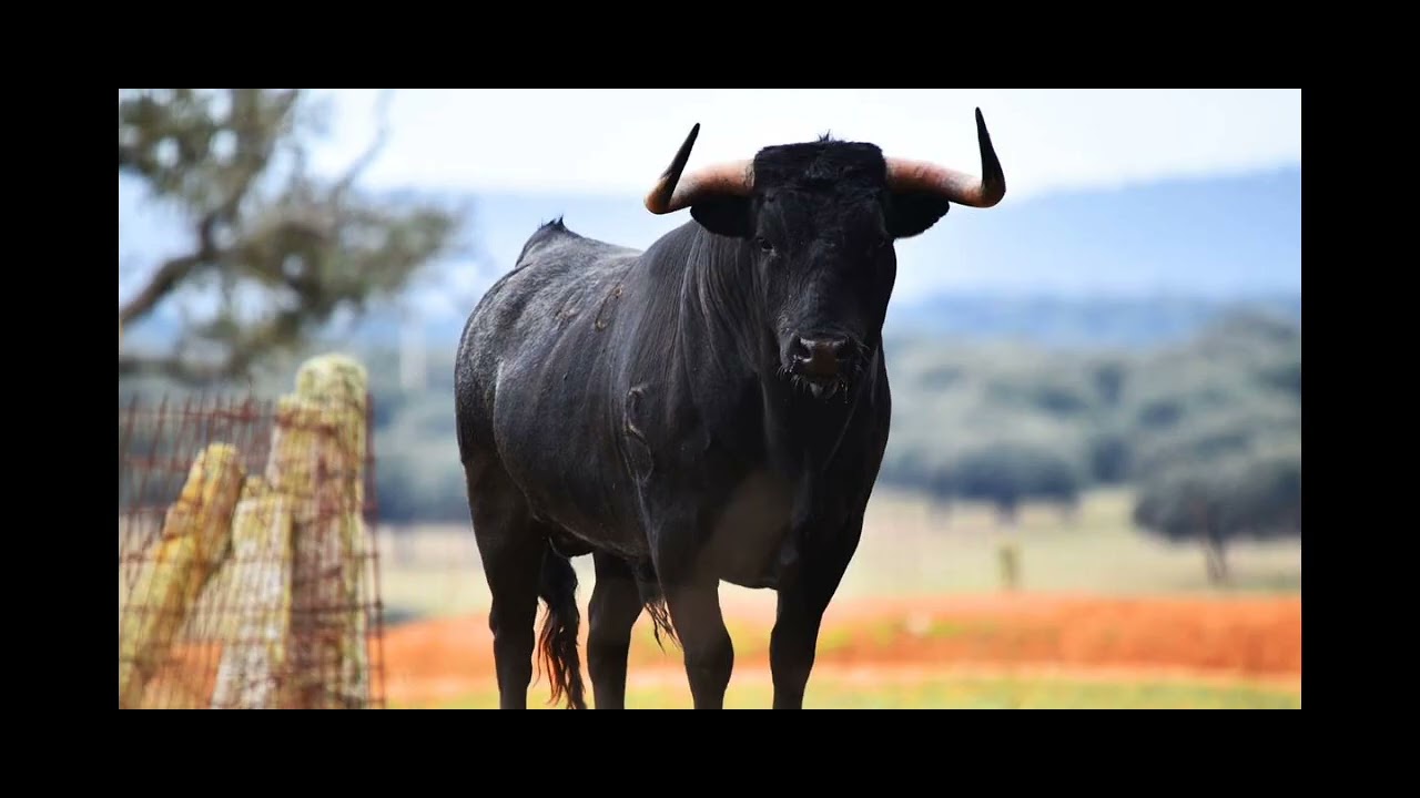 El josco - Audiolibro - YouTube