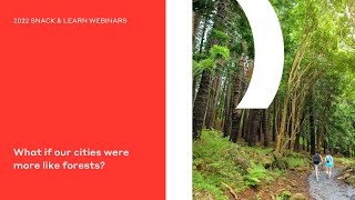 What if our Cities Were More Like Forests