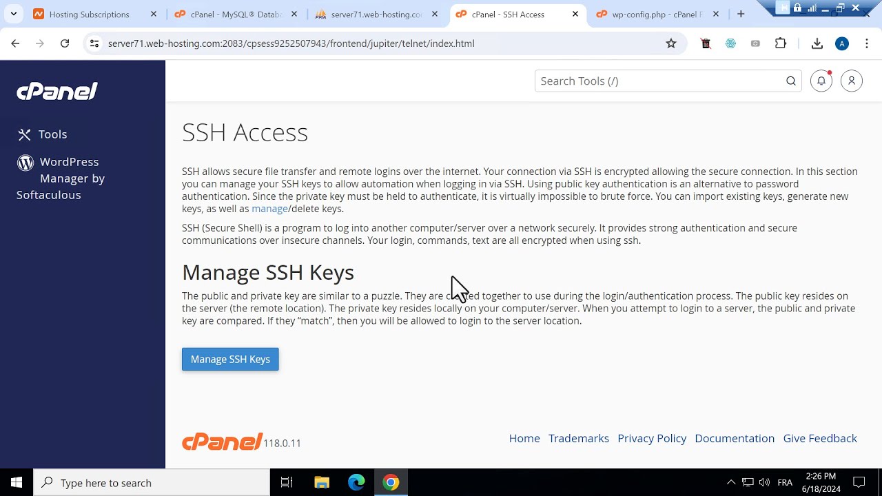 How to Upload a Big WordPress Database via SSH using PuTTY | Step-by ...