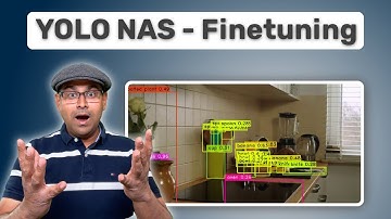 YOLO-NAS: Step by Step Guide To Custom Object Detection Training