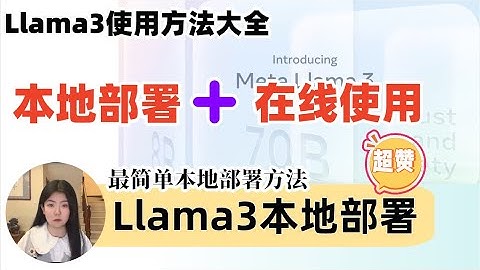 Llama3最简单本地部署，Llama3最全使用方法，包含在线使用➕最简单版本地部署！一定能找到适合你的方法！#llama #meta #llama3 #ollama #ai