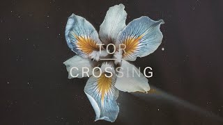 Tor - Crossing (Official Audio)