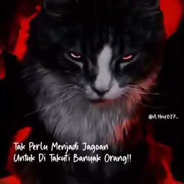 Story wa 20 detik II keren kekinian terbaru