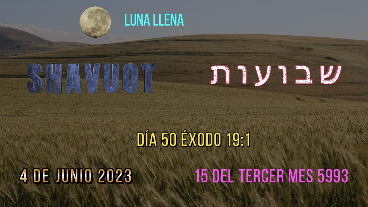 7ªsemana de las “7 semanas completas” Lev.