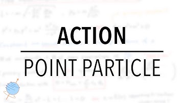Action of a Relativistic Particle & Primary Constraints | Special Relativity