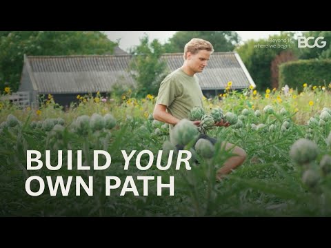 BCG company and career context