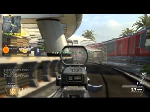 bo2 フレンドのリベンジウォートホッグが２Ｋしかできなかった件