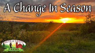 Looking Ahead to the New Year - Our Farm Plans for 2026