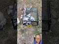 Amazing Bird Control Technique