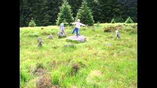 My Flickr photos in Pummelvision (3) July2011