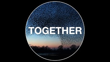 We are in this together | Carbon neutral by 2030 | Alfa Laval