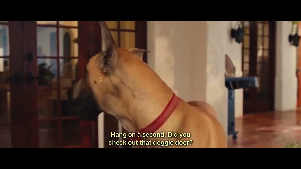 The Marmaduke Lullaby