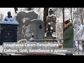 Кладбища Санкт-Петербурга | Собчак, Цой, Балабанов и другие...