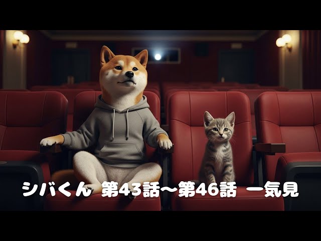 📺 Shiba-kun Episodes 43-46 Binge Watch - YouTube