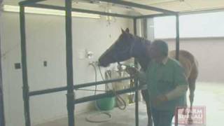 Arkansas Farm Bureau - Veterinarian Shortage