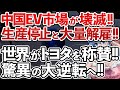 【ゆっくり解説】激震!!テスラ工場閉鎖による大量解雇で中国EV市場が破綻!!「やっぱり正しかった」と世界が認めたトヨタが大本命に!!【海外の反応】