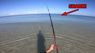 I Was Wading In The Ocean Then A FIN APPEARED! by 24-7 Fishing 43 views 1 year ago 5 minutes, 43 seconds