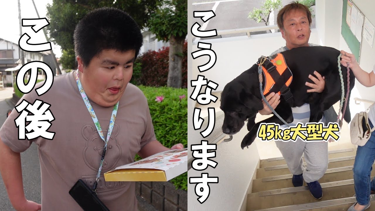 【ママ悩み事】休日のりく君家族に密着！／老犬アンディ君はもう○○出来ません／ママの体重公開。