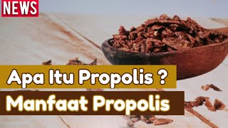 Manfaat Propolis Untuk Kesehatan