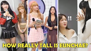 Kpop idols' reactions to Eunchae's height (EXO, Aespa, Chaemin, Bomi, Shuhua, etc.) Resimi