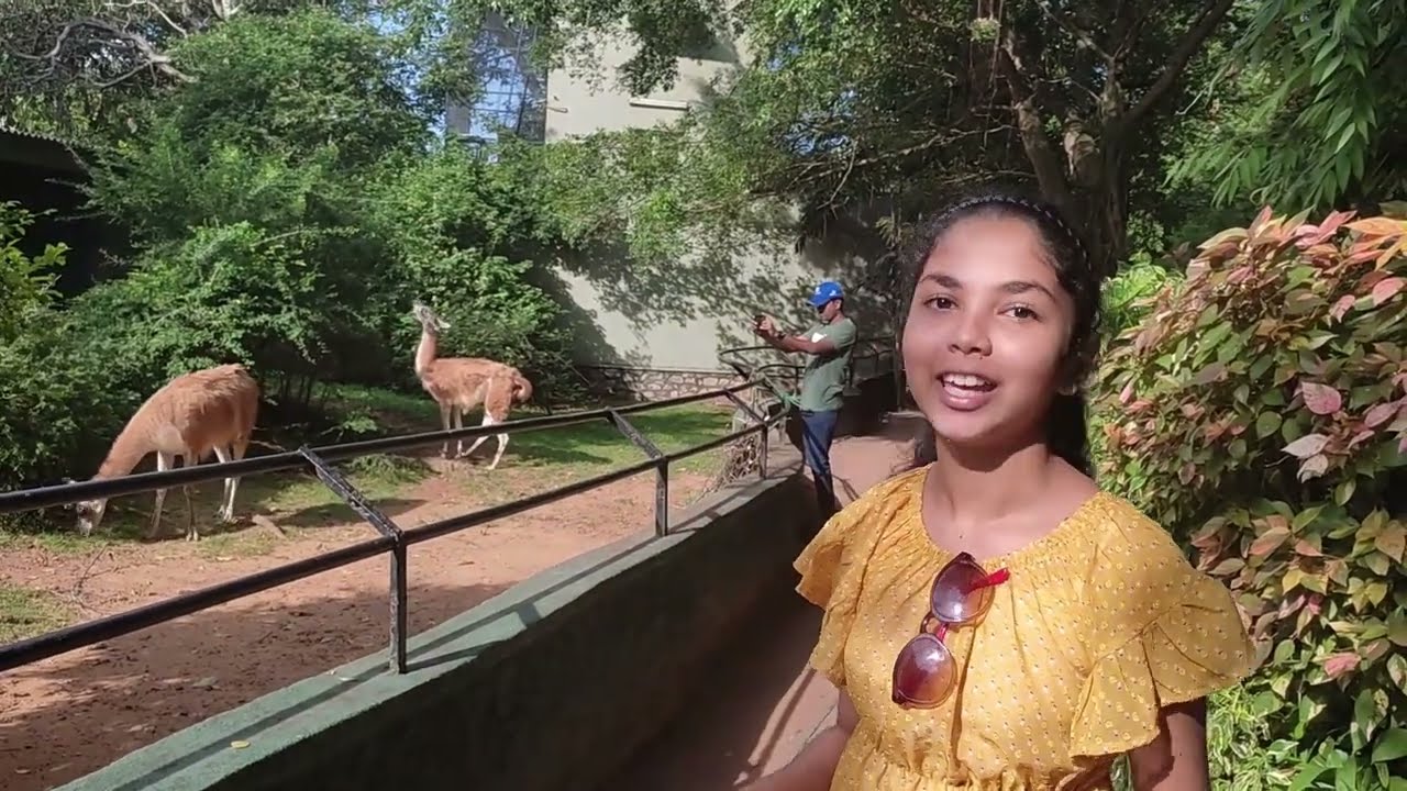 dehiwala Zoo   Sea Lions show - දෙහිවල සත්වෝද්‍යානය - National Zoological Garden of Sri Lanka