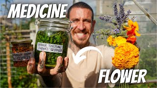 6 FLOWERS To Make Your Own MEDICINE