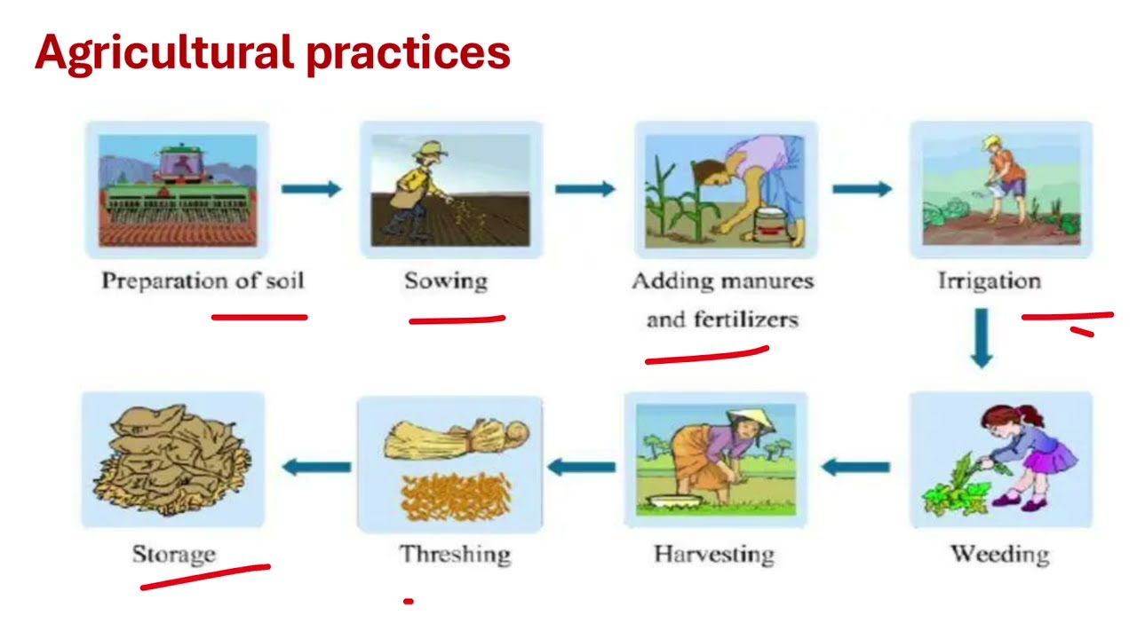 NCERT CLASS 8/CHAPTER-1/SCIENCE/CROP AND MANAGEMENT/TOPIC/FULL CHAPTER EXPLANATION/
