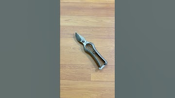 Cắt cành tay trái #0376628645 @dungcubonsaihaidu #hàngnhậtbãi #kéocắtcành #dungcubonsai #xuhướng