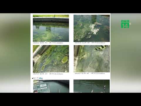 Video Công nghệ làm sạch sông Tô Lịch được áp dụng tại Nhật... - youtube