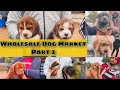 Wholesale Dog Market At Jalandhar Dog Show 24 January 2021 Part 2