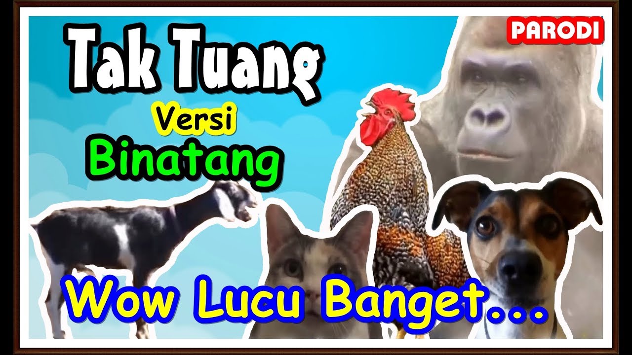 Tak Tun Tuang Cover Binatang Lucu Banget Parody YouTube