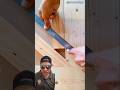 Perfect Wood Joint No Gaps #shorts #woodjoint