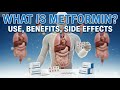 Metformin Explained | How It Controls Blood Sugar Inside Your Body (3D)