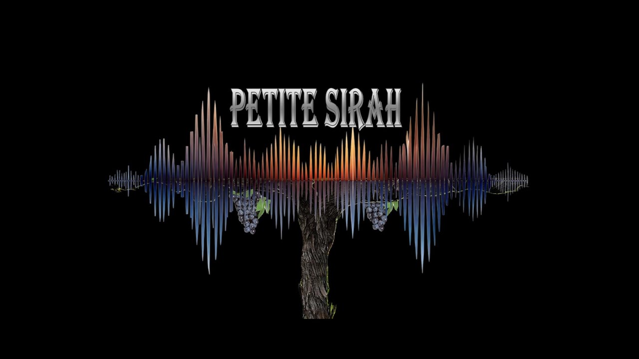 Petite Sirah at Pillsbury Vineyard