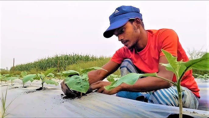 Chita porno video Marina Maksimovaning mushuk surati