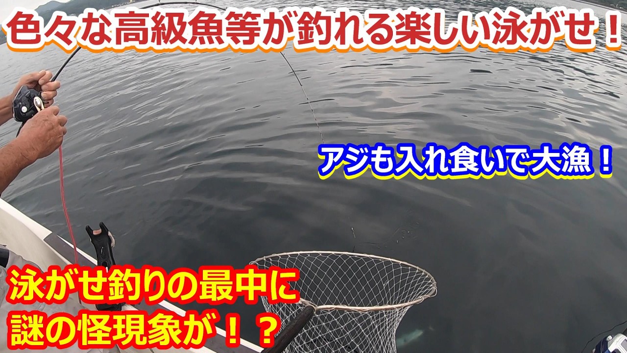 ＃120　泳がせ釣りで色々な高級魚介類が釣れて楽しい！アジも大漁！