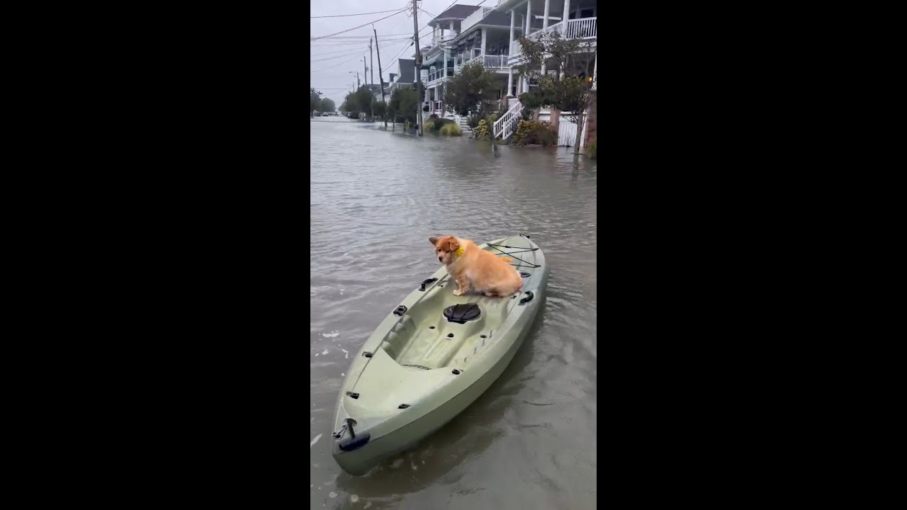 Motorboats, surfboards and kayaks come out after nor’easter Motorboats, surfboards and kayaks come out after nor’easter