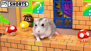 ? Hamster Escapes the Super Mario Maze 2.0 Shorts ? Homura Ham