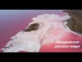 Лемурийское розовое озеро. Херсонская область. Красоты Украины. Берегите планету!