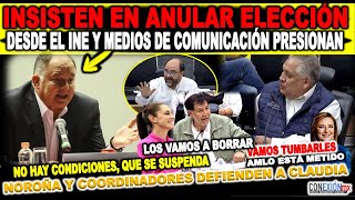 Insisten en anular elección, en el INE y medios presionan intervención de N. Piña, Noroña contesta