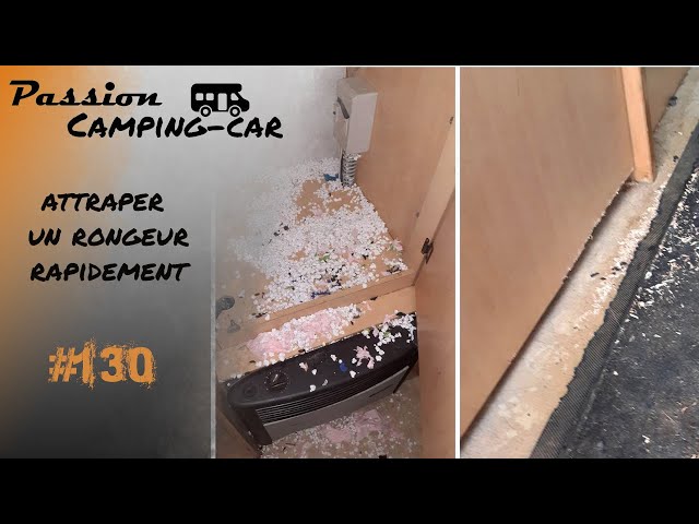 Episode 130 : Une souris saccage le camping car, conseils astuces pour l'attraper