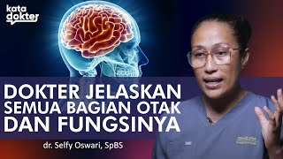 Unboxing Otak Manusia: Apa Saja Bagian-Bagiannya? | Kata Dokter