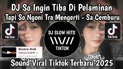 DJ SA INGIN TIBA DI PELAMINAN TAPI SO NGONO TRA MENGERTI || DJ SA CEMBURU MASPIN RMX VIRAL TIKTOK