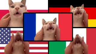 French Cat in Different Countries by TurbiMark 5,429 views 3 months ago 35 seconds