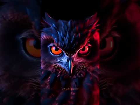 خذ الحكمة ولا يضرك من أي وعاء خرجت اللؤلؤ والمرجان 