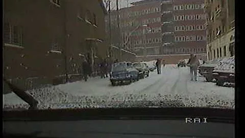 Quanta neve è venuta nel 1985?