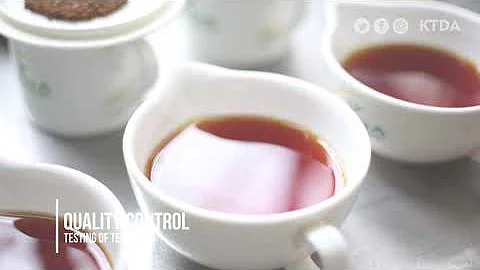 CTC TEA MANUFACTURING PROCESS IN A KTDA FACTORY