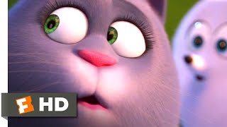 The Secret Life of Pets 2 - The Way of the Cat | Fandango Family